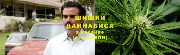 сатива Арсеньев