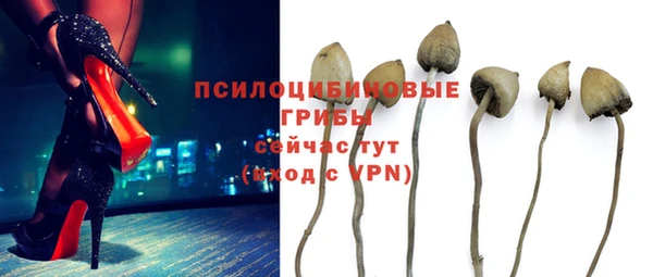 сатива Арсеньев
