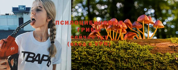 apvp Армянск