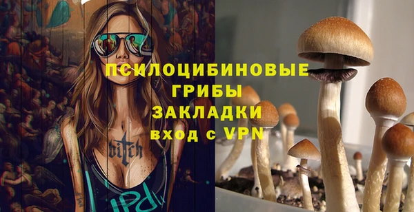 сатива Арсеньев
