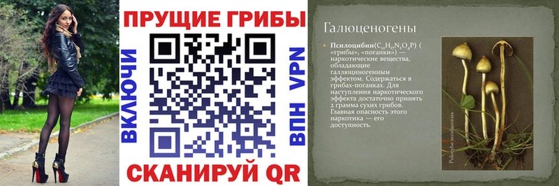 Псилоцибиновые грибы прущие грибы  Макарьев 
