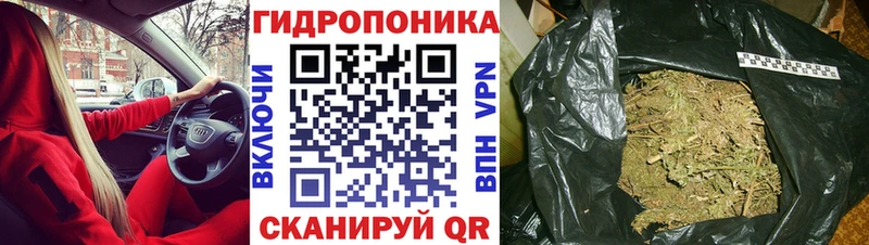 Шишки марихуана AK-47  кракен ТОР  Макарьев 